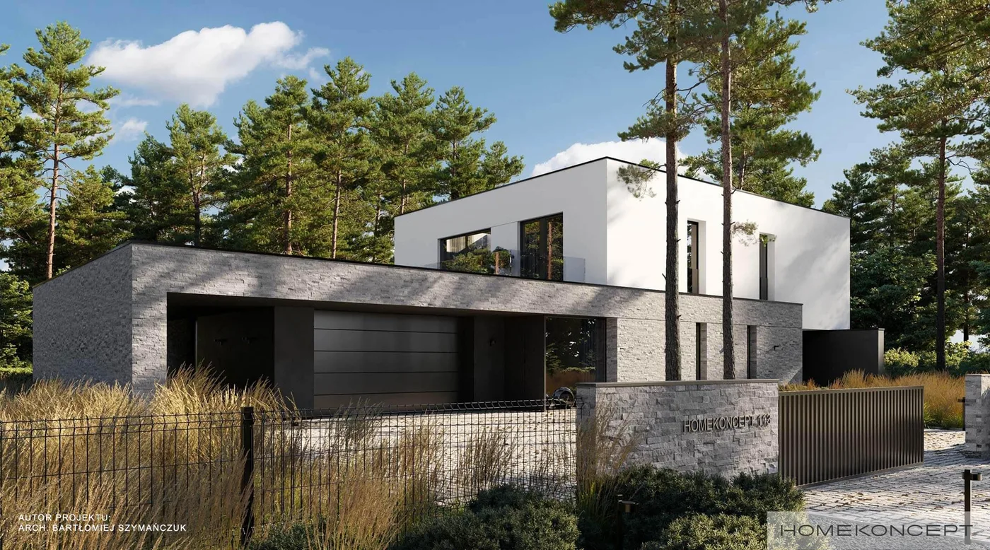 Wizualizacja HOMEKONCEPT 113 - zdjęcie 2