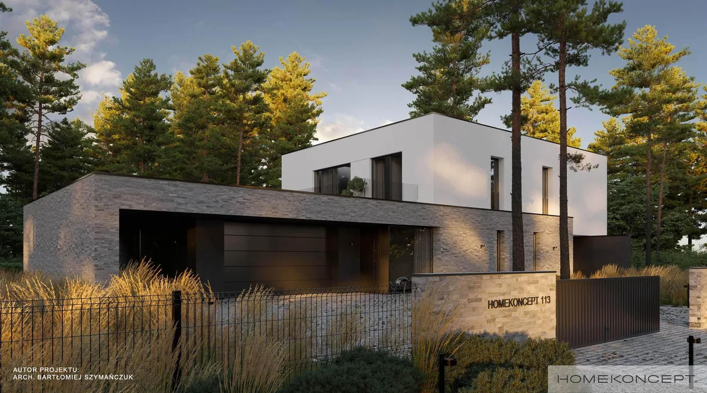 Wizualizacja HOMEKONCEPT 113 - zdjęcie 3
