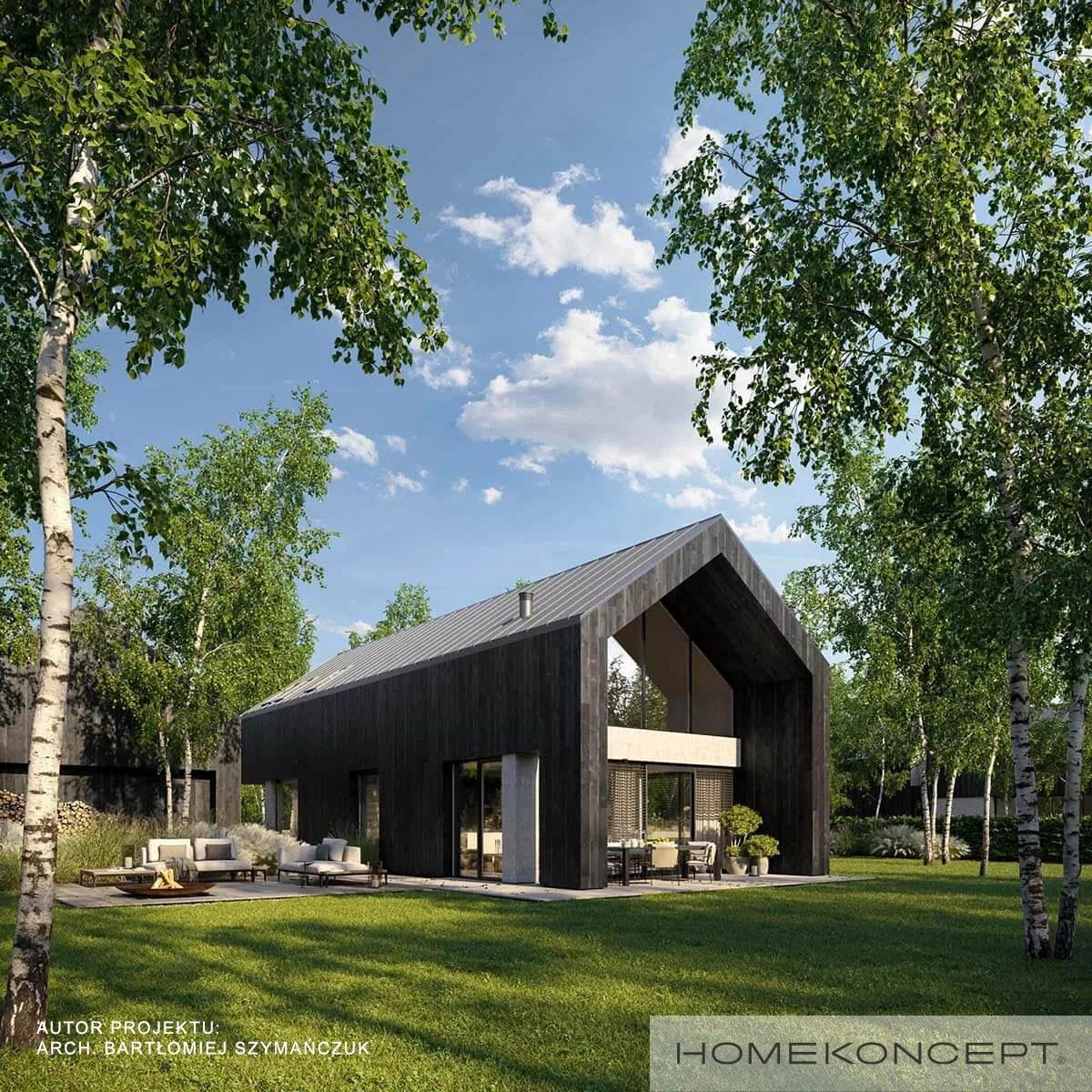 Wizualizacja HOMEKONCEPT 114 G2 - zdjęcie 2