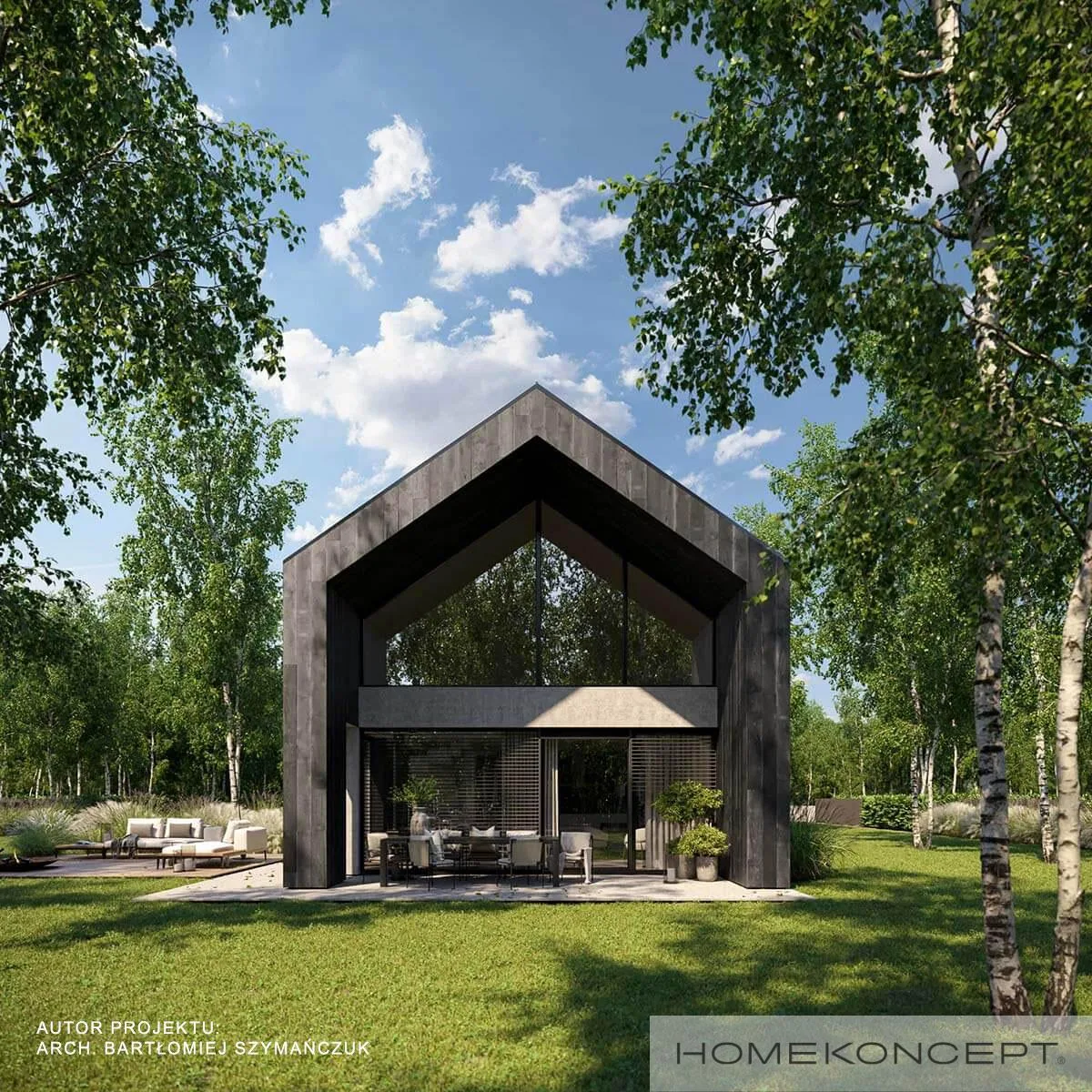 Wizualizacja HOMEKONCEPT 114 - zdjęcie 2