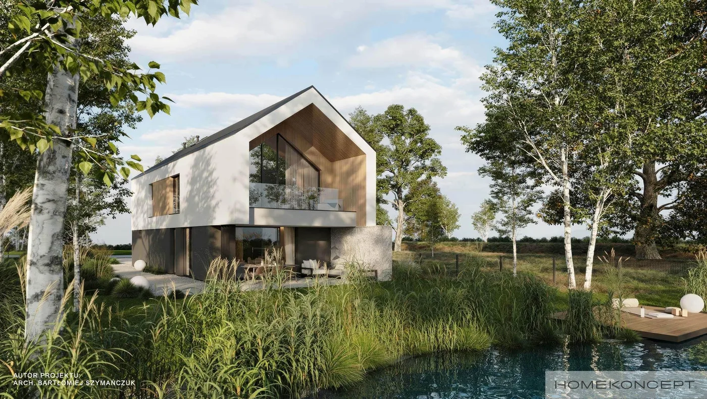 Wizualizacja HOMEKONCEPT 115 - zdjęcie 3