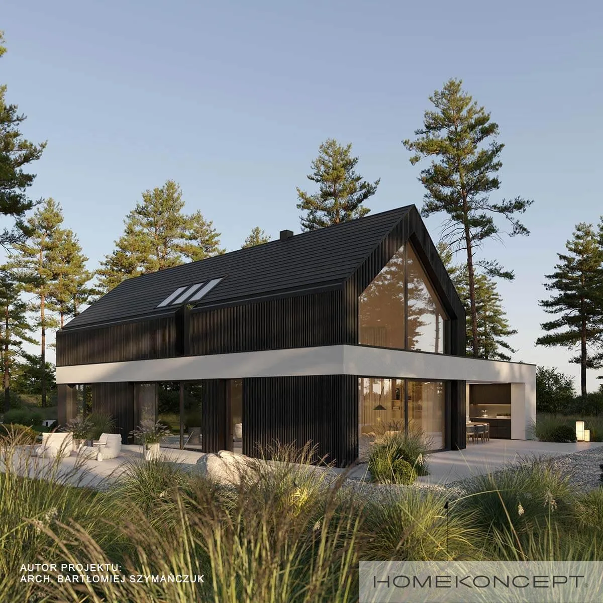 Wizualizacja HOMEKONCEPT 116 - zdjęcie 3