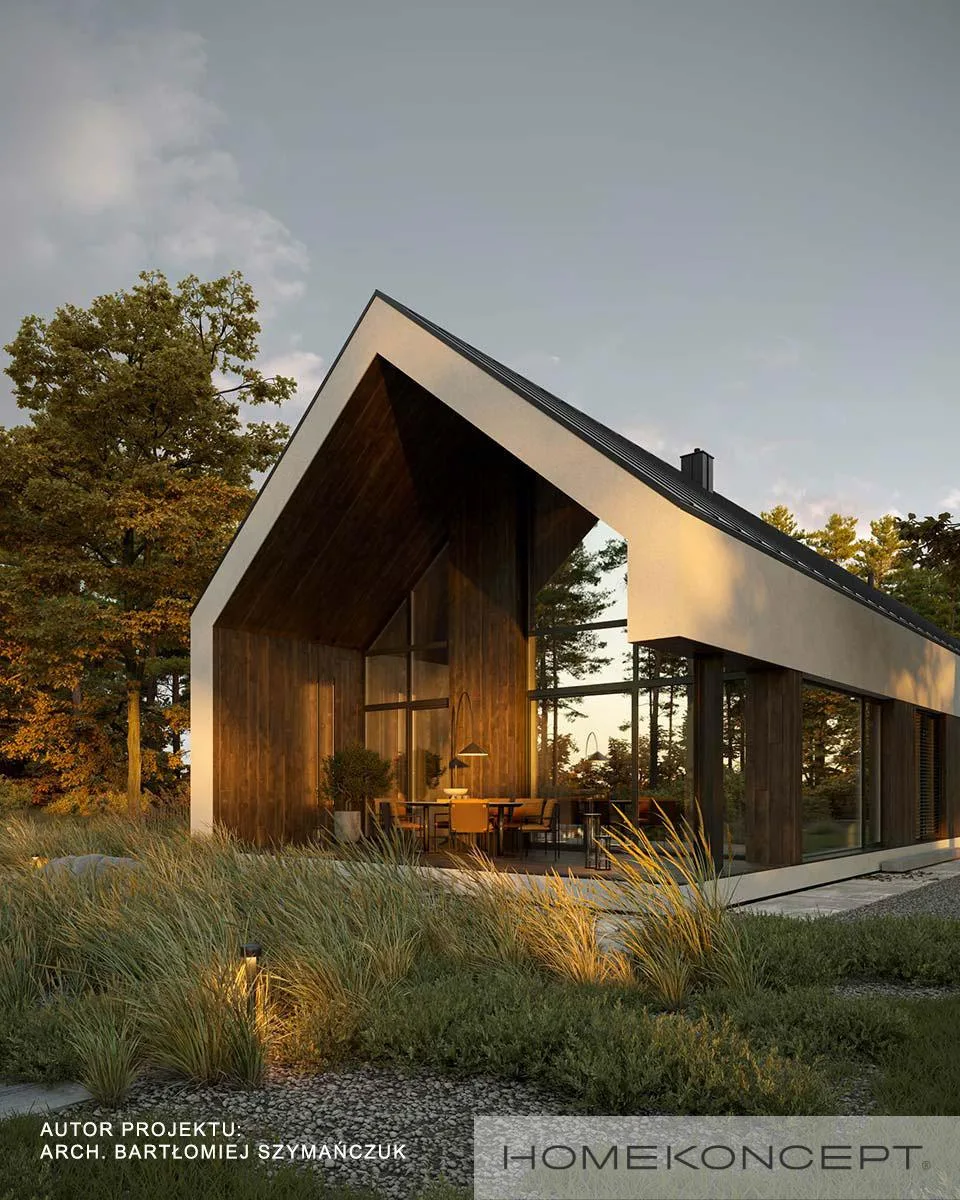 Wizualizacja HOMEKONCEPT 117 G1 wariant 01 - zdjęcie 2