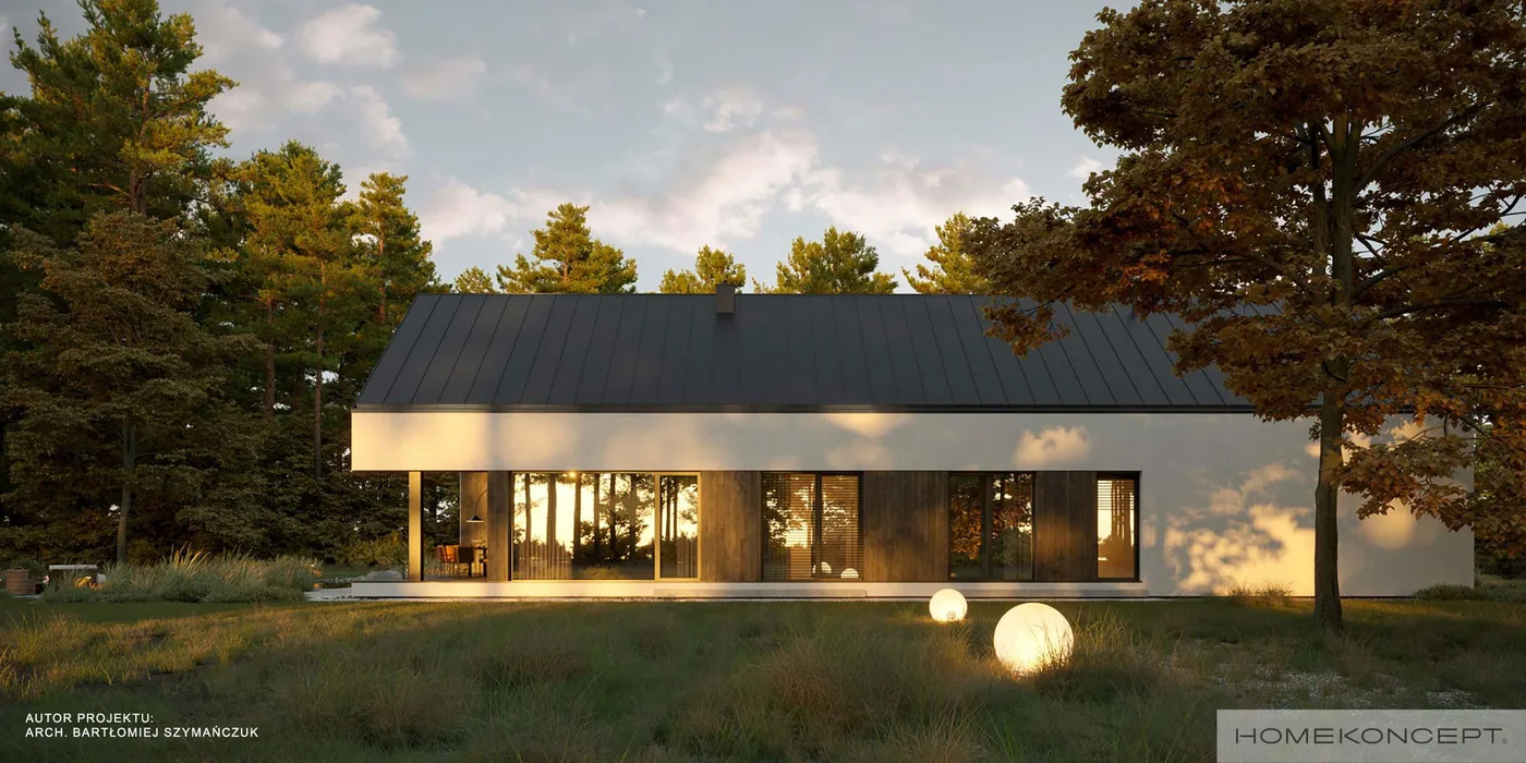 Wizualizacja HOMEKONCEPT 117 G1 wariant 01 - zdjęcie 3