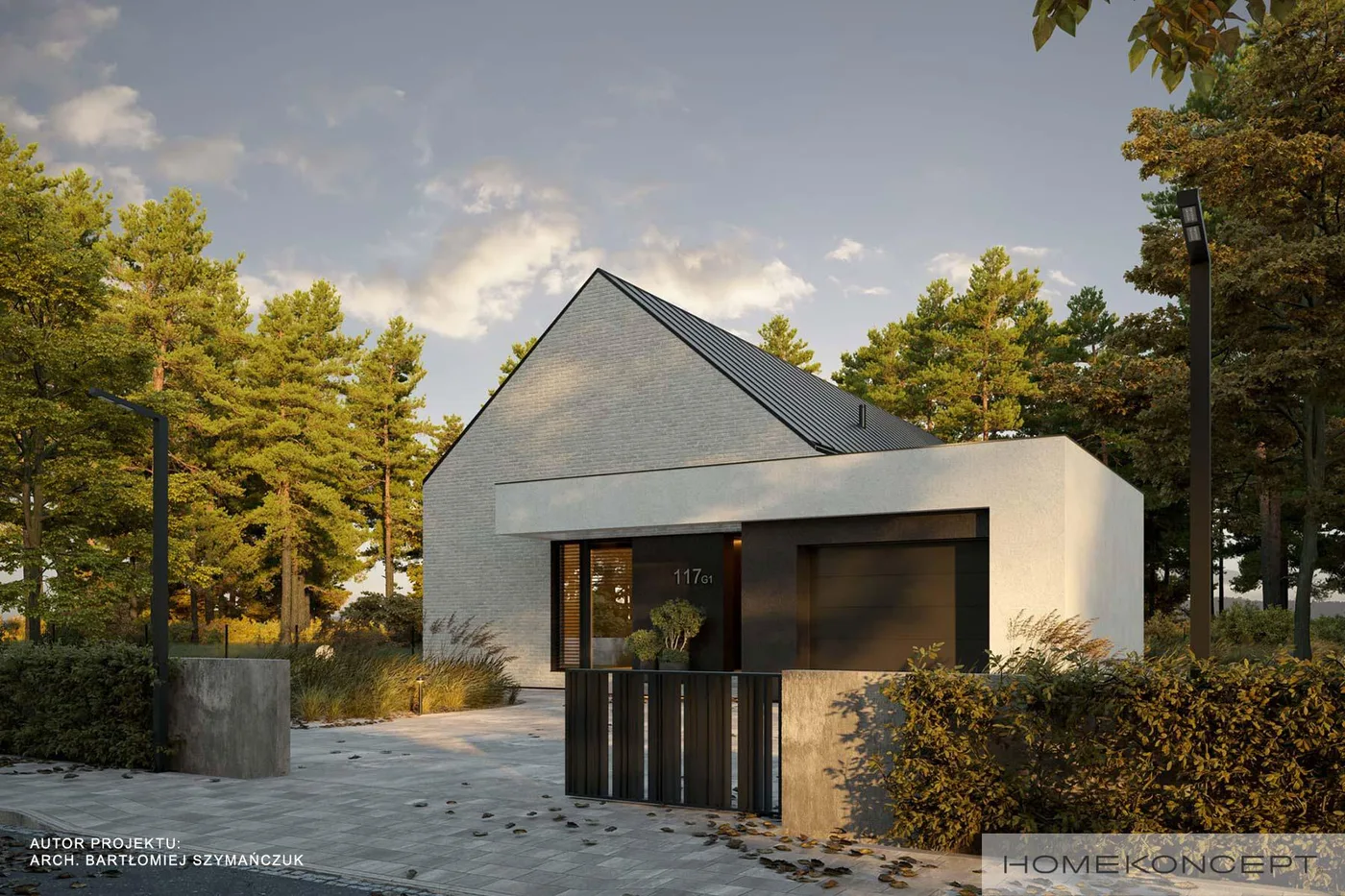 Wizualizacja HOMEKONCEPT 117 G1 - zdjęcie 2