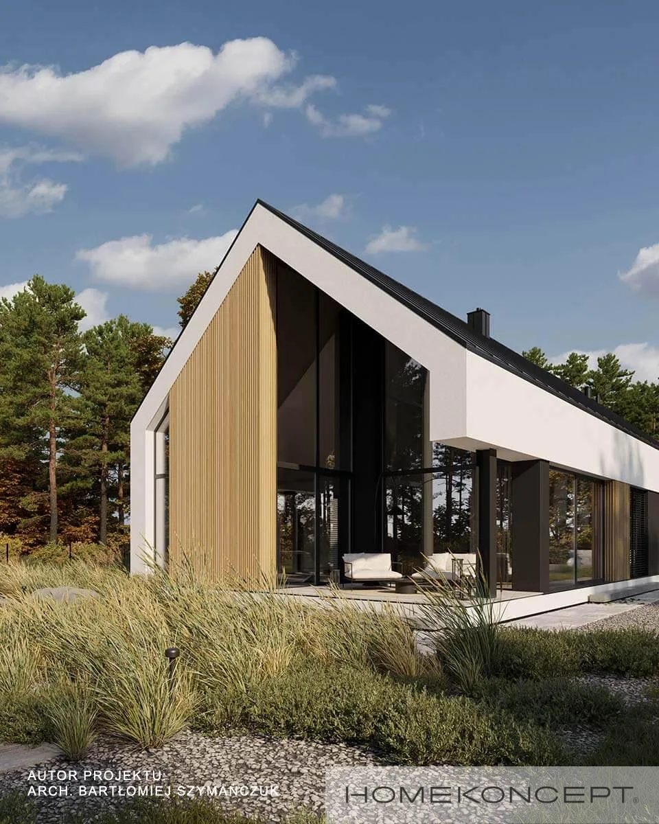 Wizualizacja HOMEKONCEPT 117 G2 wariant 02 - zdjęcie 2