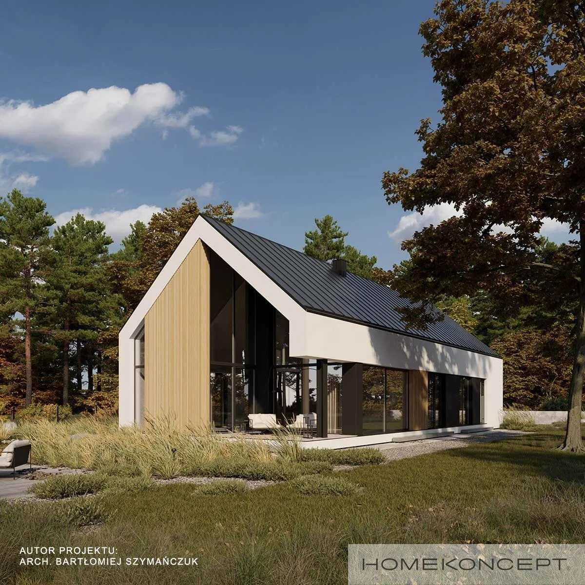 Wizualizacja HOMEKONCEPT 117 G2 wariant 02 - zdjęcie 3