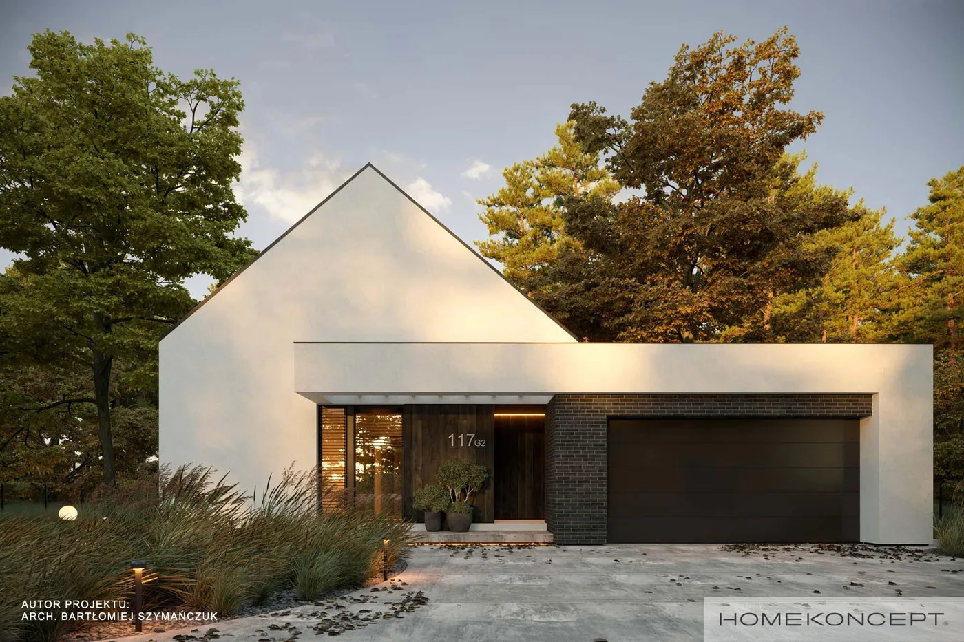 Wizualizacja HOMEKONCEPT 117 G2 - zdjęcie 2