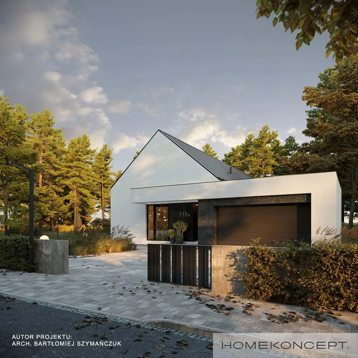 Wizualizacja HOMEKONCEPT 117 G2 - zdjęcie 3