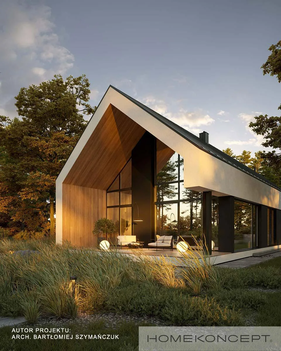 Wizualizacja HOMEKONCEPT 117 - zdjęcie 2