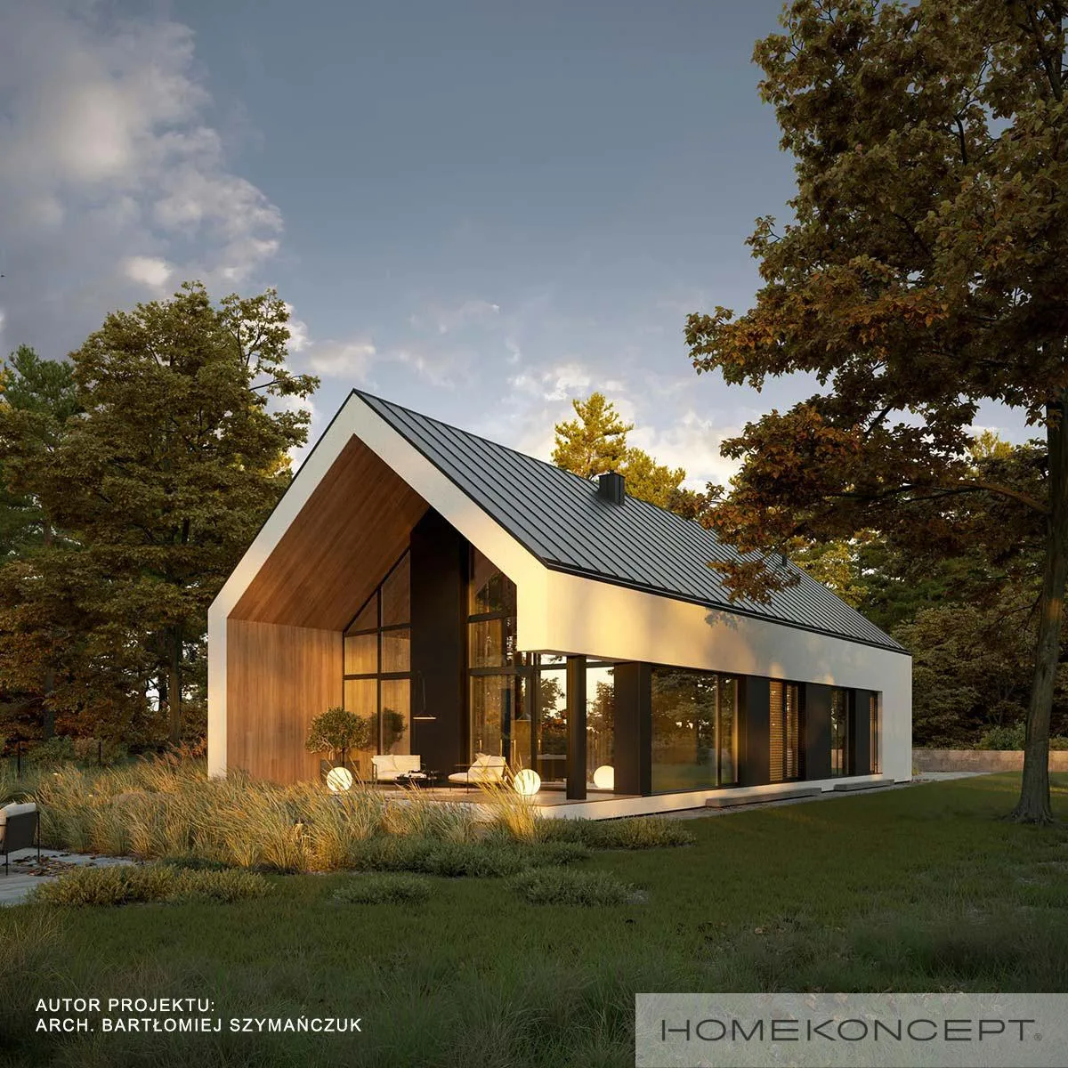 Wizualizacja HOMEKONCEPT 117 - zdjęcie 3