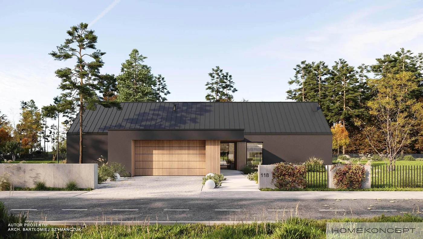 Wizualizacja HOMEKONCEPT 118 G2 - zdjęcie 2