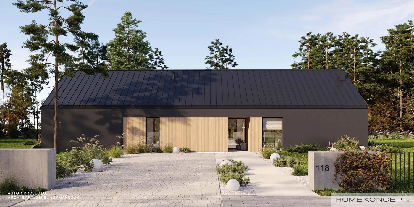 Wizualizacja HOMEKONCEPT 118 - zdjęcie 2