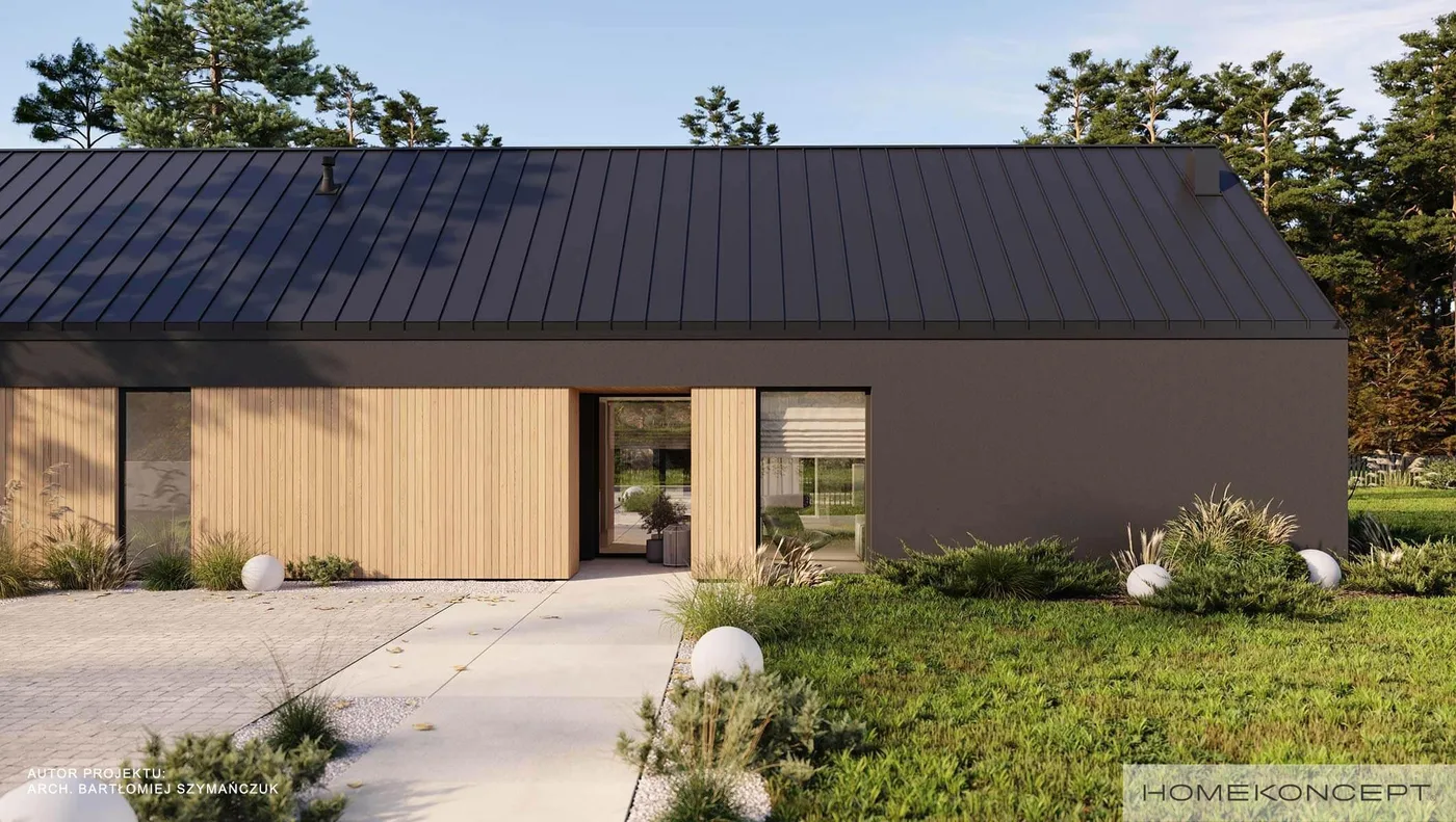 Wizualizacja HOMEKONCEPT 118 - zdjęcie 3