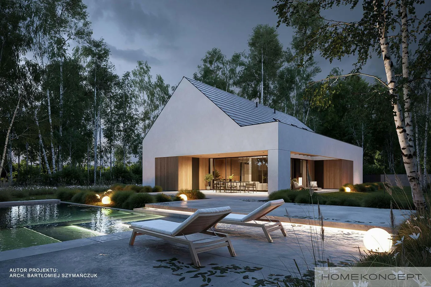 Wizualizacja HOMEKONCEPT 119 G2 - zdjęcie 2