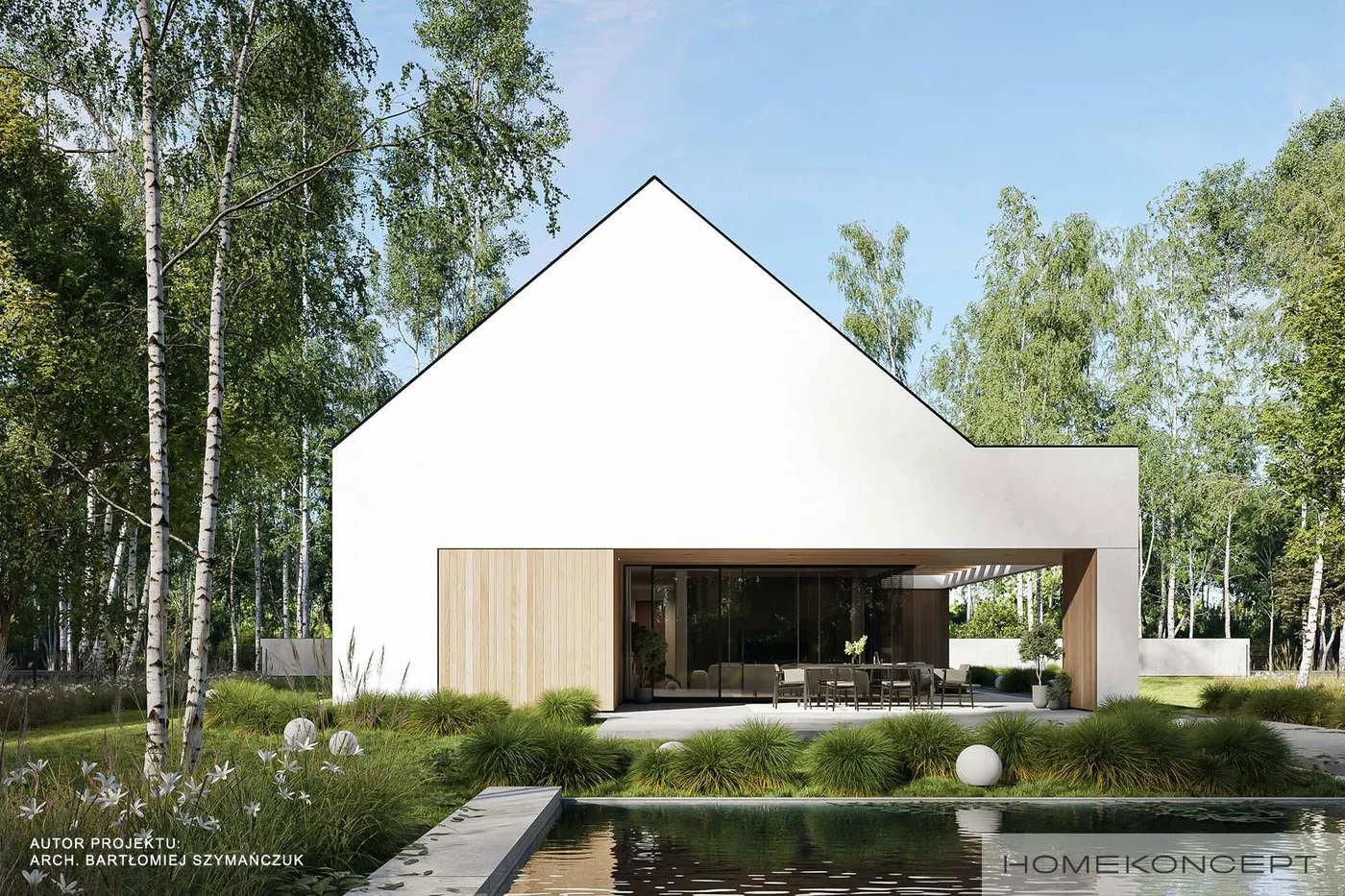 Wizualizacja HOMEKONCEPT 119 G2 - zdjęcie 3