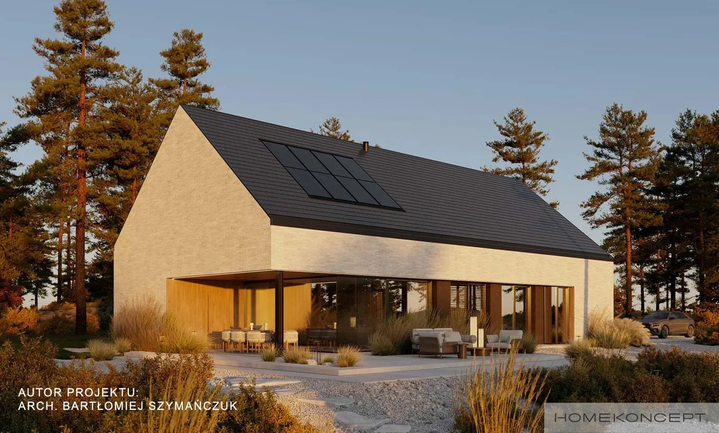 Wizualizacja HOMEKONCEPT 119 - zdjęcie 2