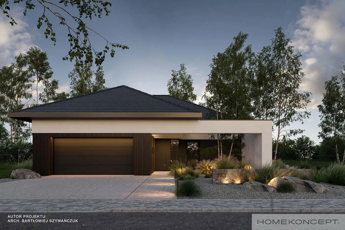 Wizualizacja HOMEKONCEPT 133 - zdjęcie 2
