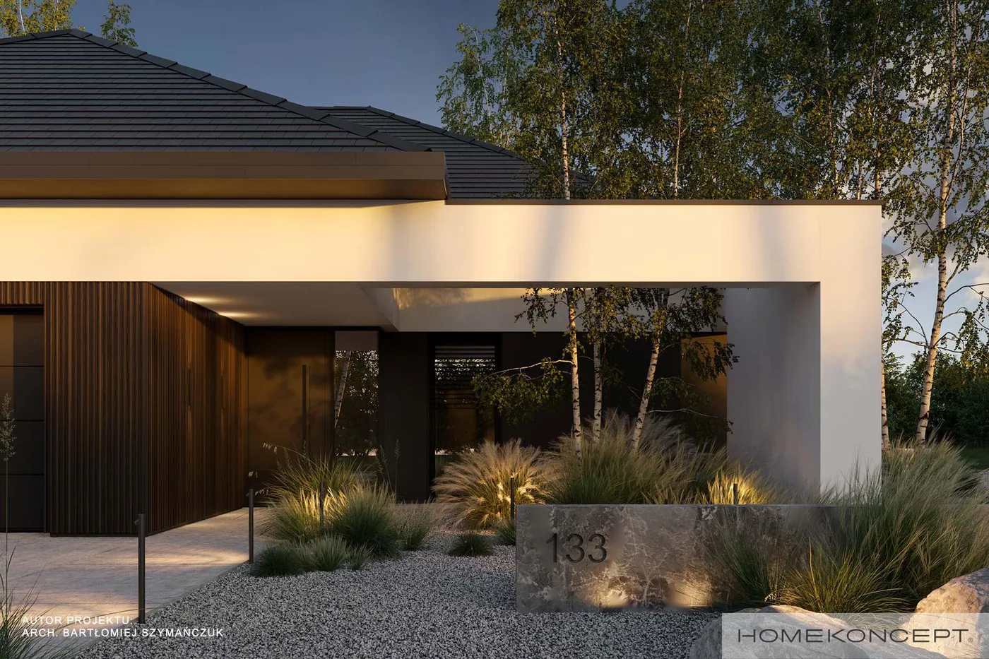 Wizualizacja HOMEKONCEPT 133 - zdjęcie 3