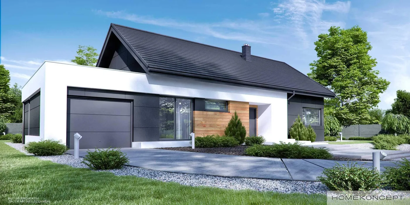 Wizualizacja HOMEKONCEPT 44 G1 - zdjęcie 3