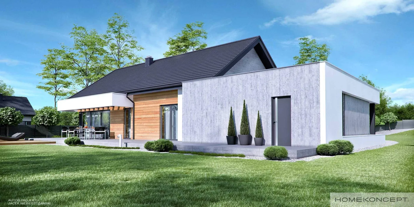 Wizualizacja HOMEKONCEPT 45 G2 - zdjęcie 2