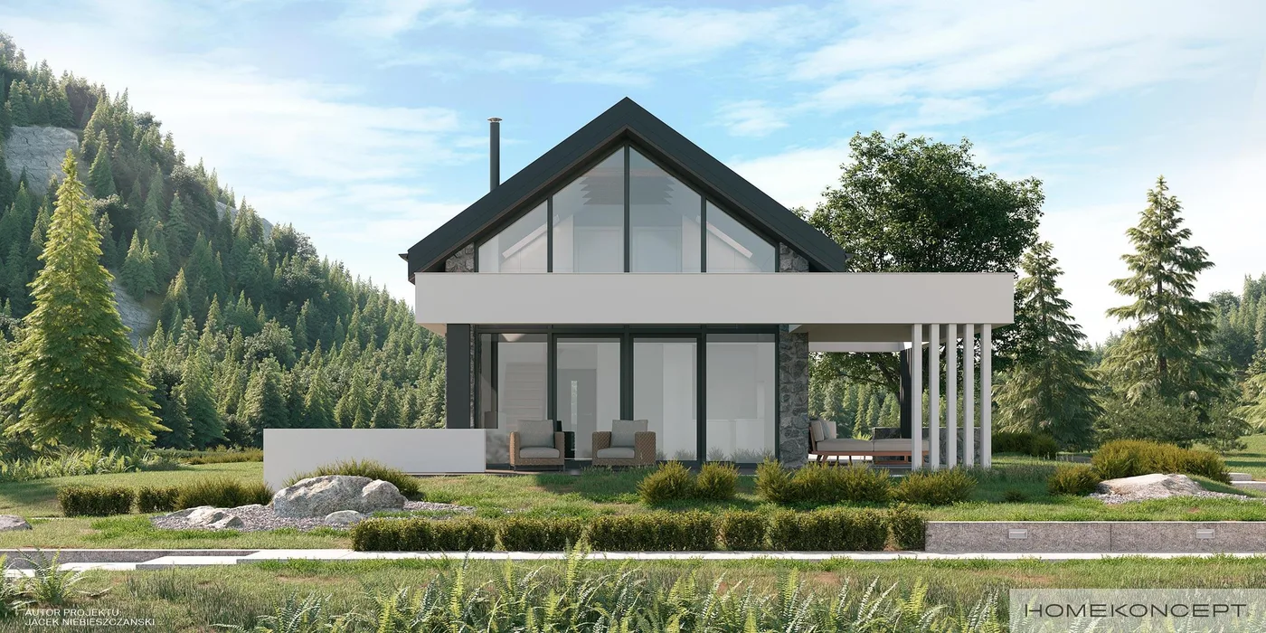 Wizualizacja HOMEKONCEPT 65 - zdjęcie 2