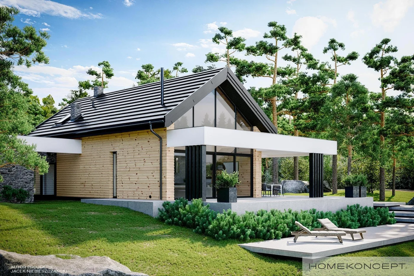 Wizualizacja HOMEKONCEPT 66 A G1 - zdjęcie 2