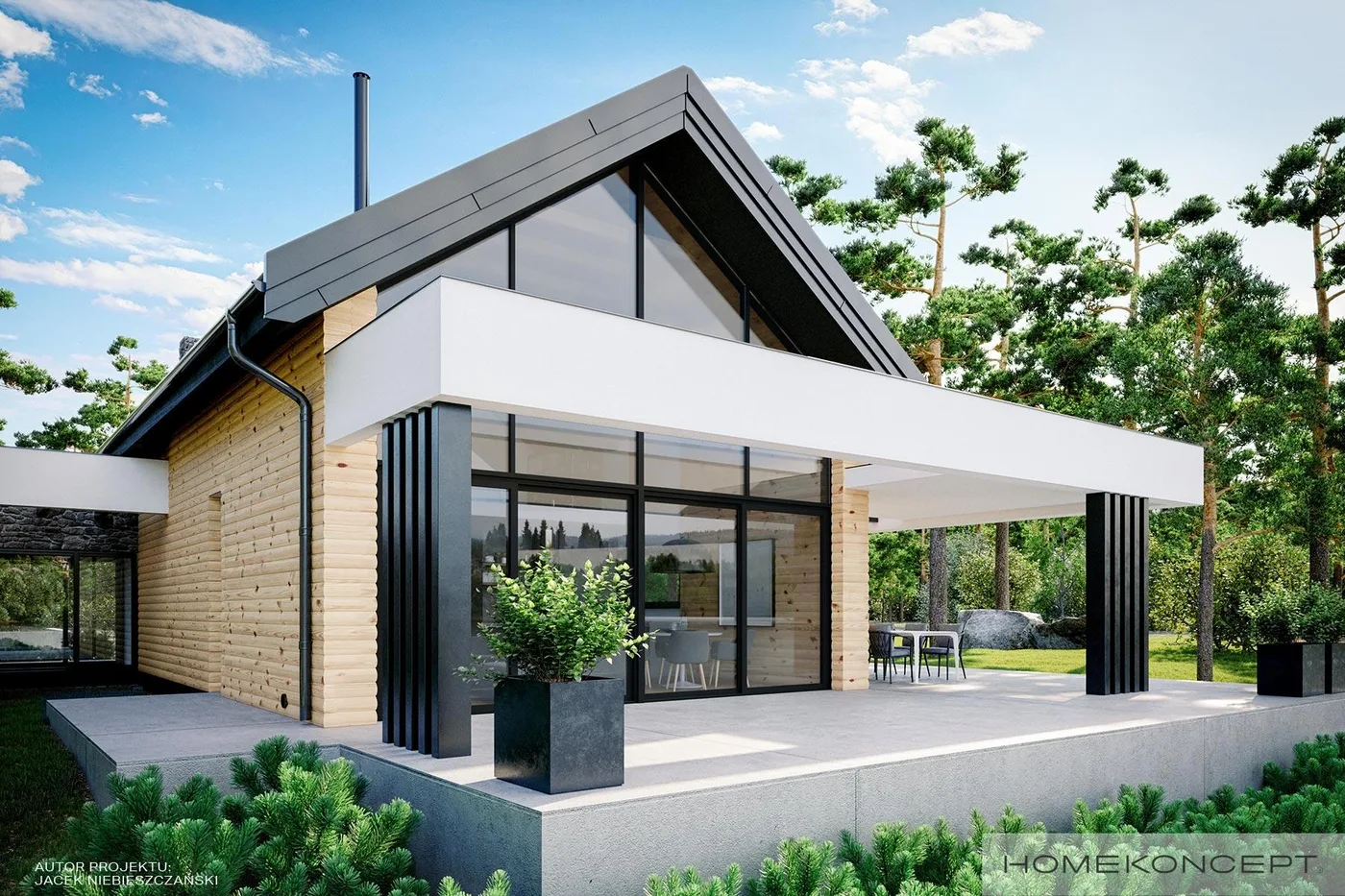 Wizualizacja HOMEKONCEPT 66 A G1 - zdjęcie 3