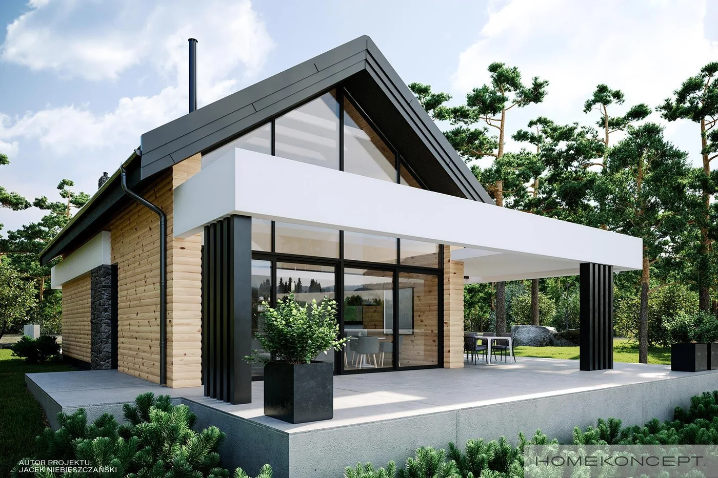 Wizualizacja HOMEKONCEPT 66 A - zdjęcie 2