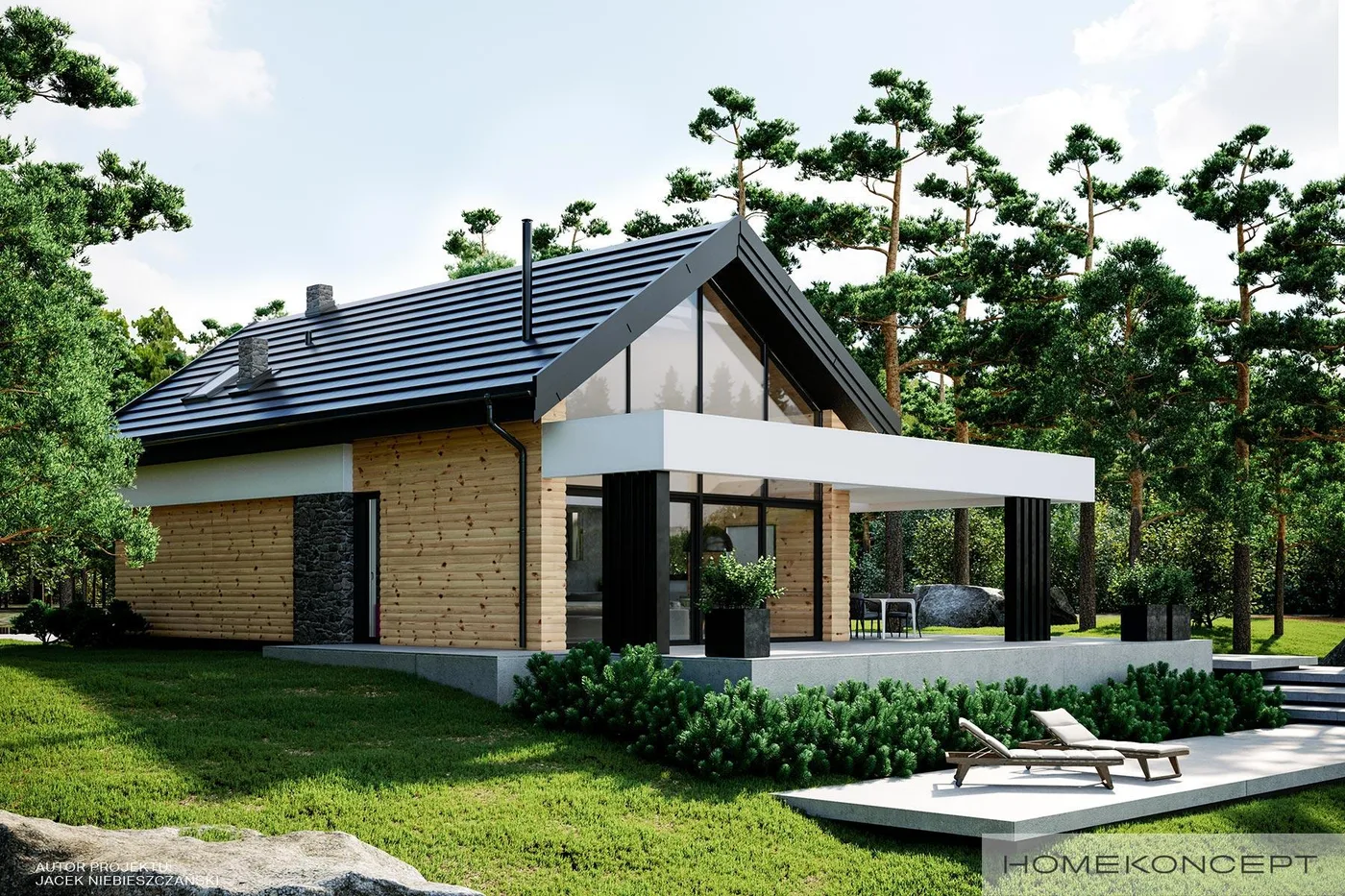 Wizualizacja HOMEKONCEPT 66 A - zdjęcie 3