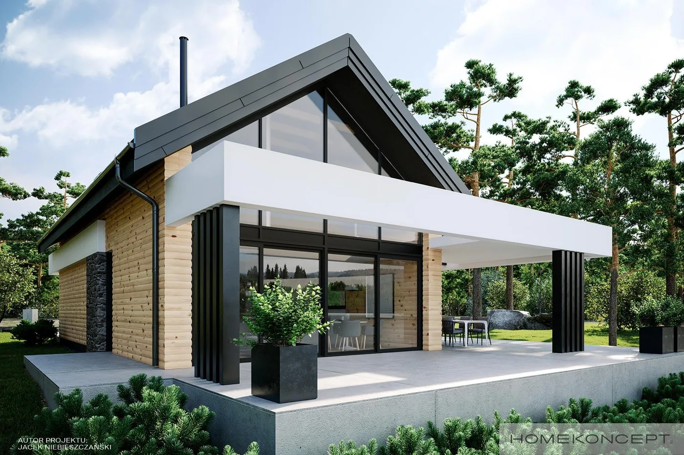 Wizualizacja HOMEKONCEPT 66 - zdjęcie 3