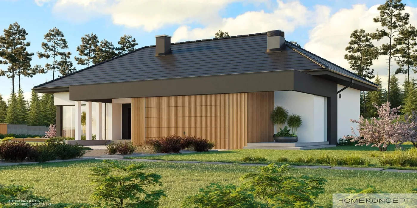 Wizualizacja HOMEKONCEPT 69 - zdjęcie 2