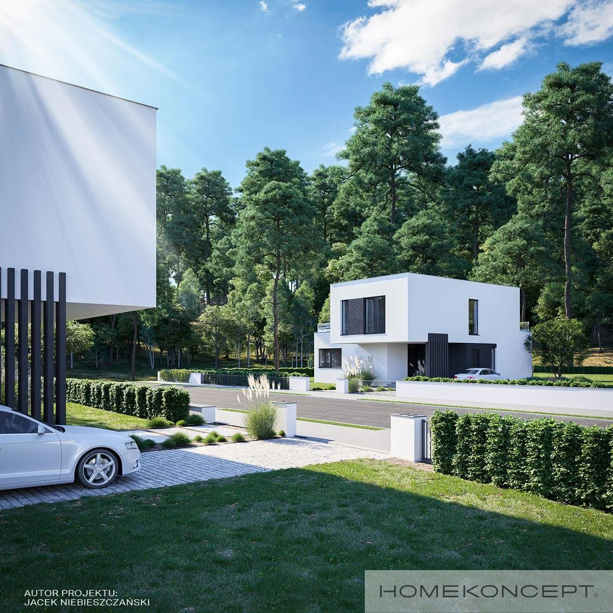 Wizualizacja HOMEKONCEPT 82 - zdjęcie 3