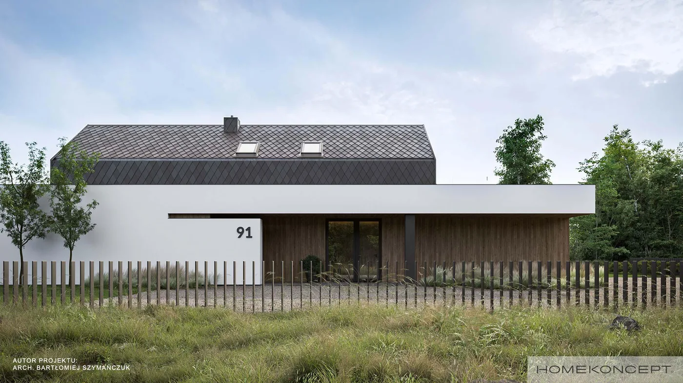 Wizualizacja HOMEKONCEPT 91 - zdjęcie 3
