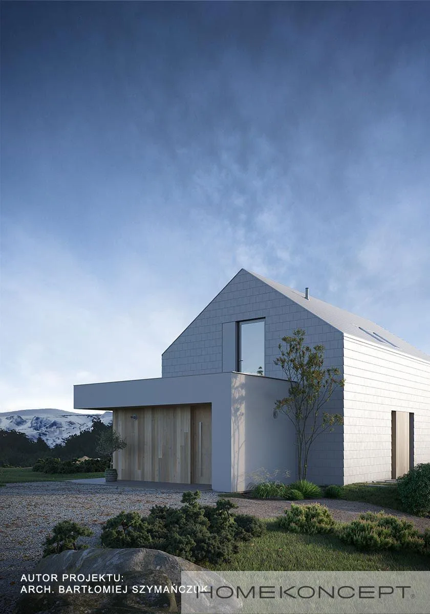 Wizualizacja HOMEKONCEPT 95 A - zdjęcie 2