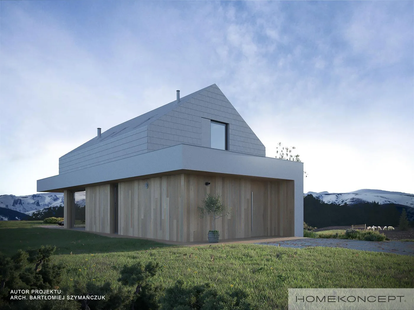 Wizualizacja HOMEKONCEPT 95 A - zdjęcie 3