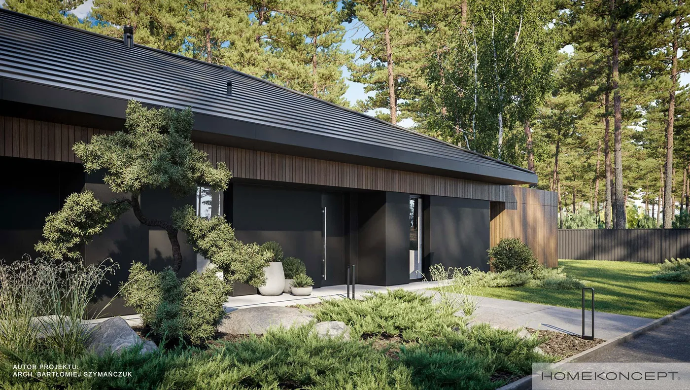 Wizualizacja HOMEKONCEPT 97 B - zdjęcie 2