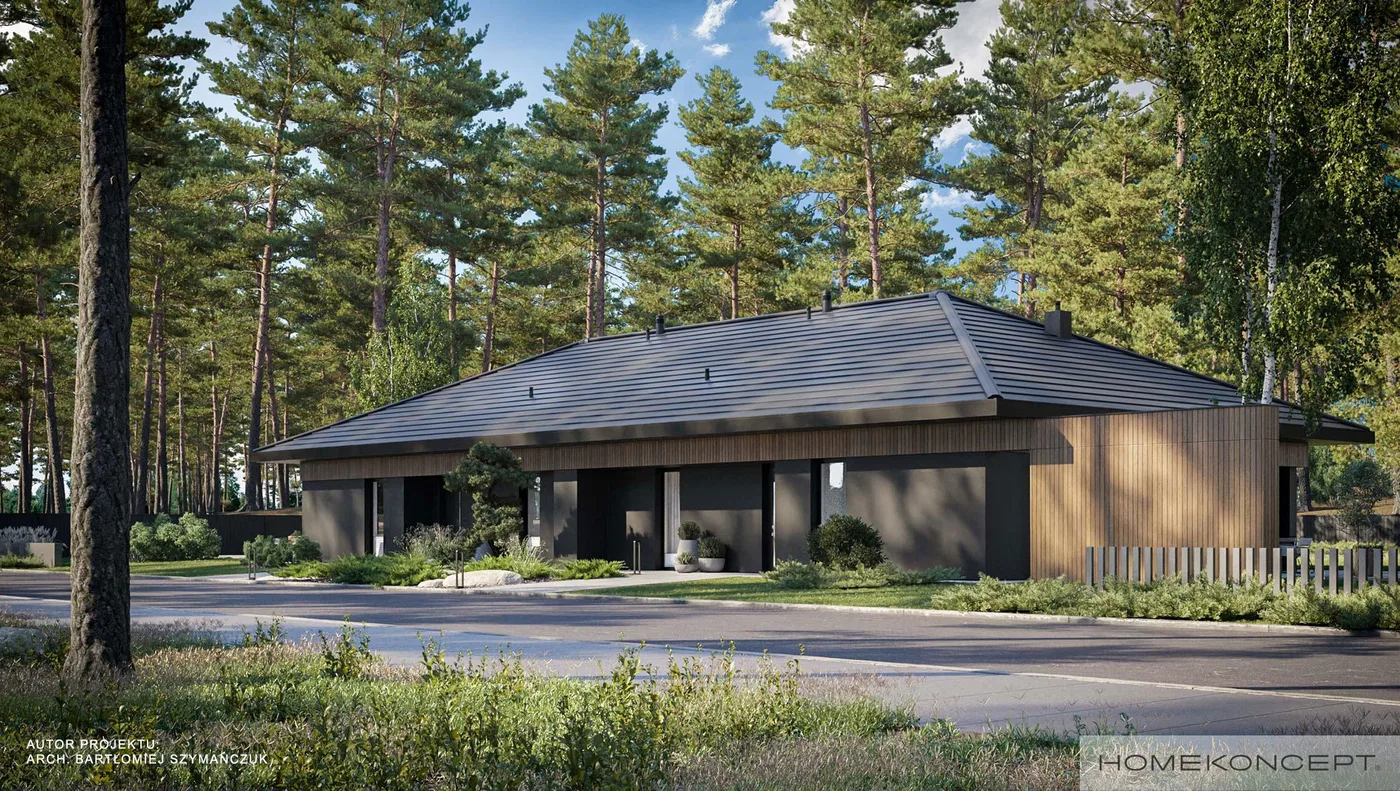 Wizualizacja HOMEKONCEPT 97 B - zdjęcie 3
