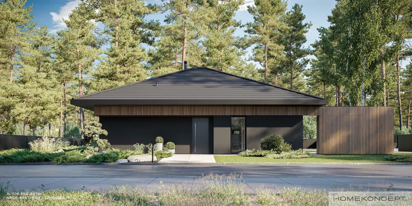 Wizualizacja HOMEKONCEPT 97 - zdjęcie 3