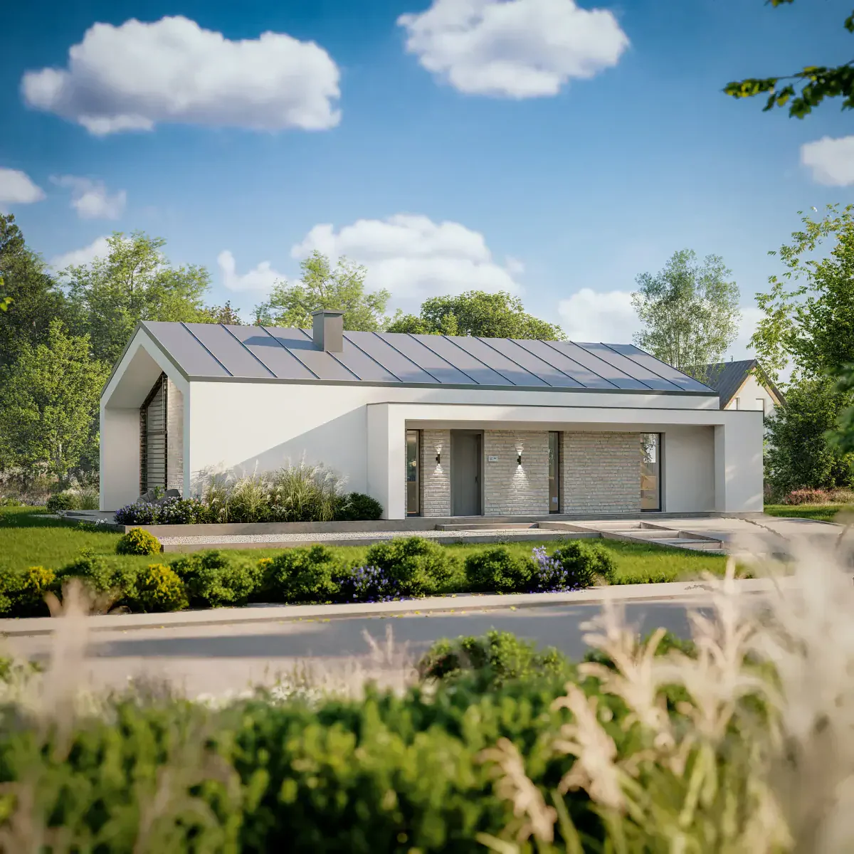 Wizualizacja projektu Z509 - zdjęcie 2